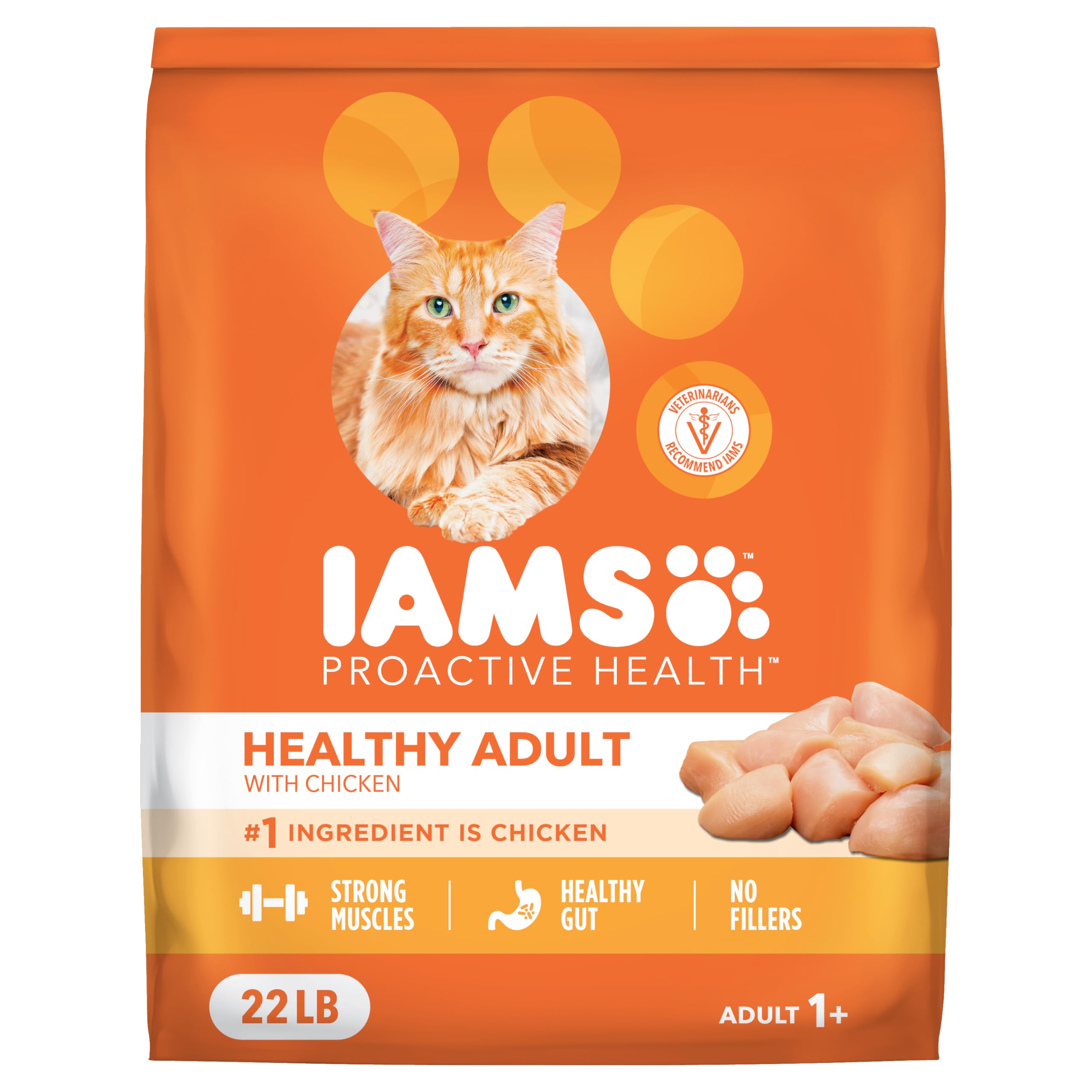 IAMS Proactive Health chat sec poulet, croquettes riches en protéines pour chats adultes.