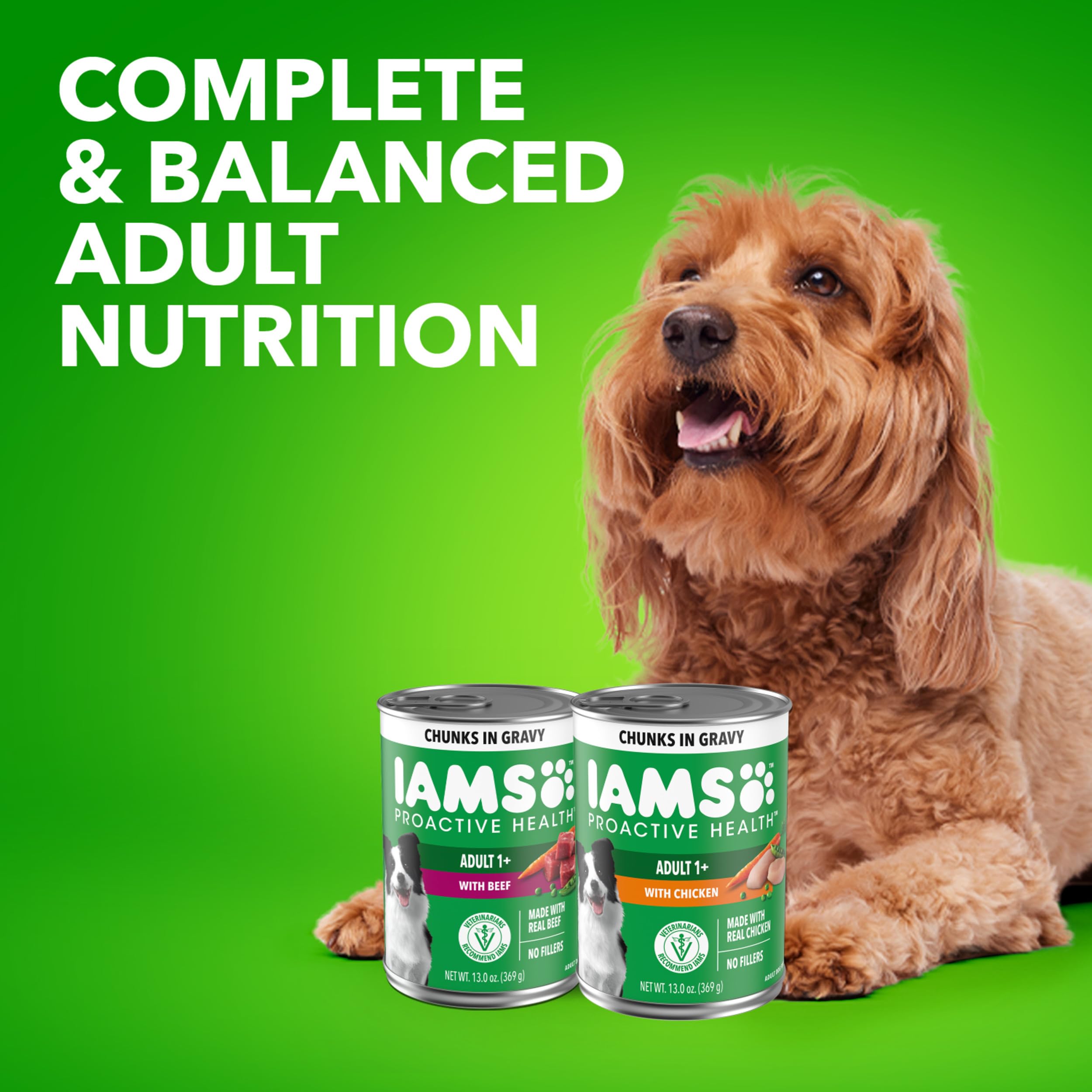 IAMS Proactive Health – alimentation équilibrée selon les besoins des chiens adultes