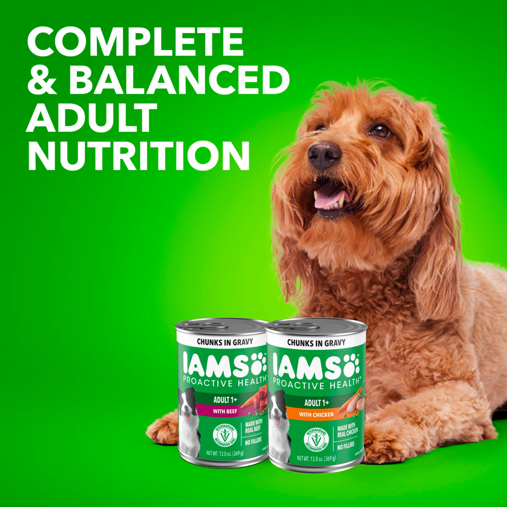 IAMS Proactive Health – alimentation équilibrée selon les besoins des chiens adultes