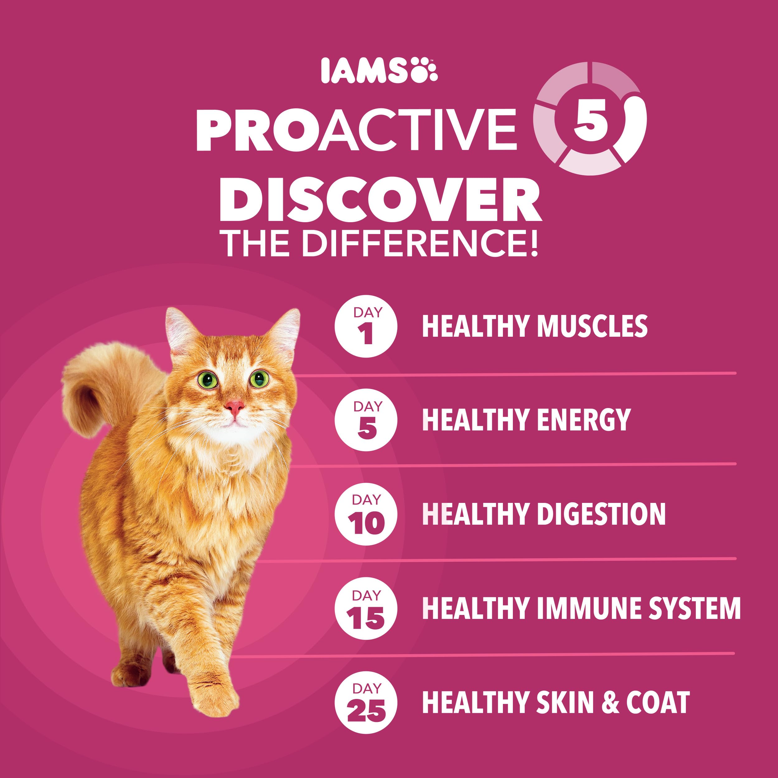 IAMS Proactive Health avec antioxydants pour soutenir immunité et vitalité.