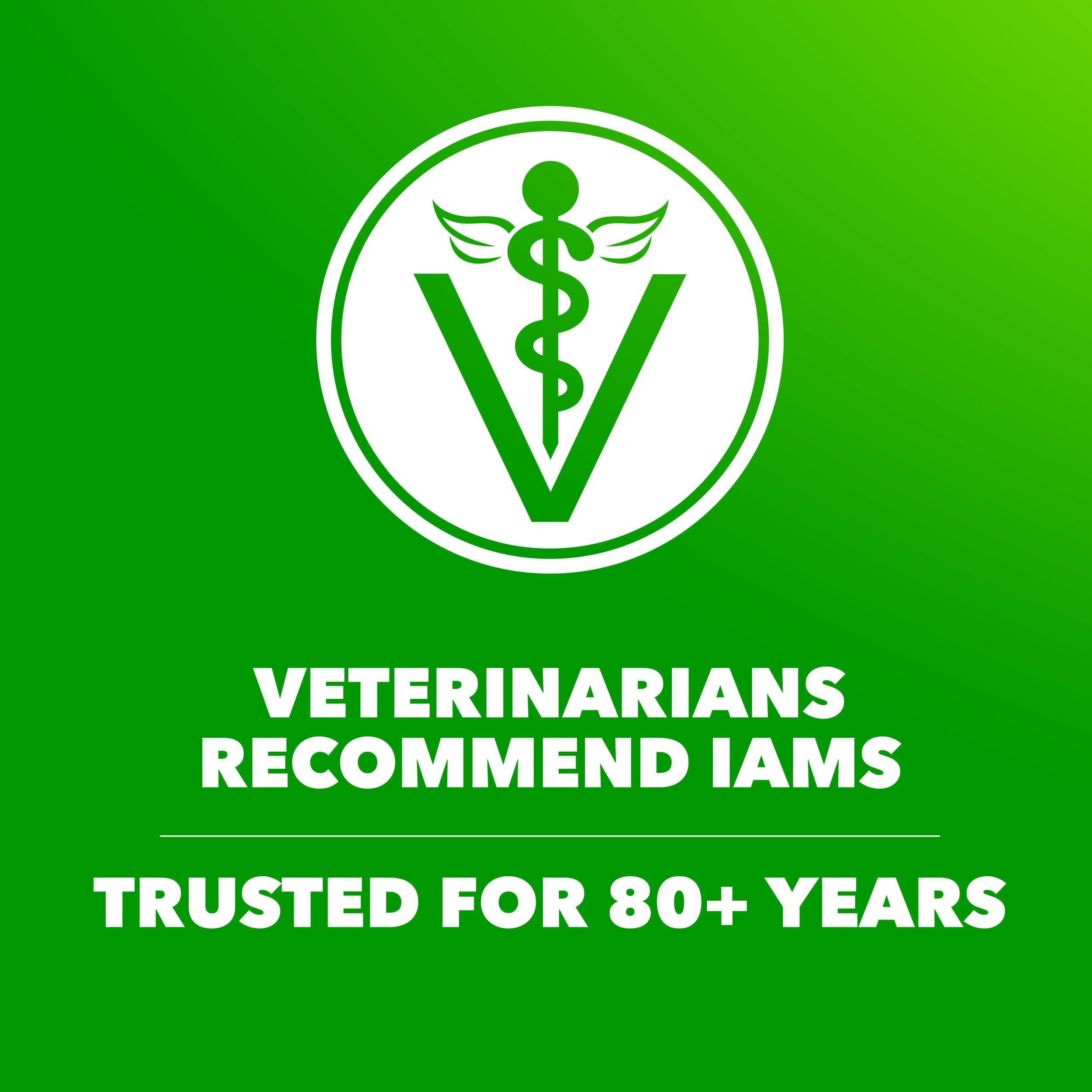 IAMS Proactive Health antioxydants, défense naturelle renforcée.