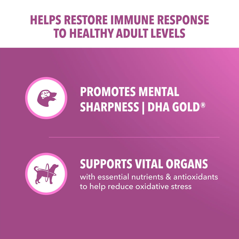 IAMS Proactive Health antioxydants vitamine E et bêta-carotène