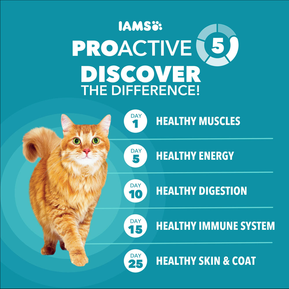 Avantages Proactifs d’IAMS Proactive Health pour la vitalité du chat.