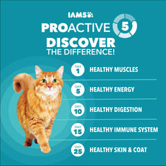 Avantages Proactifs d’IAMS Proactive Health pour la vitalité du chat.