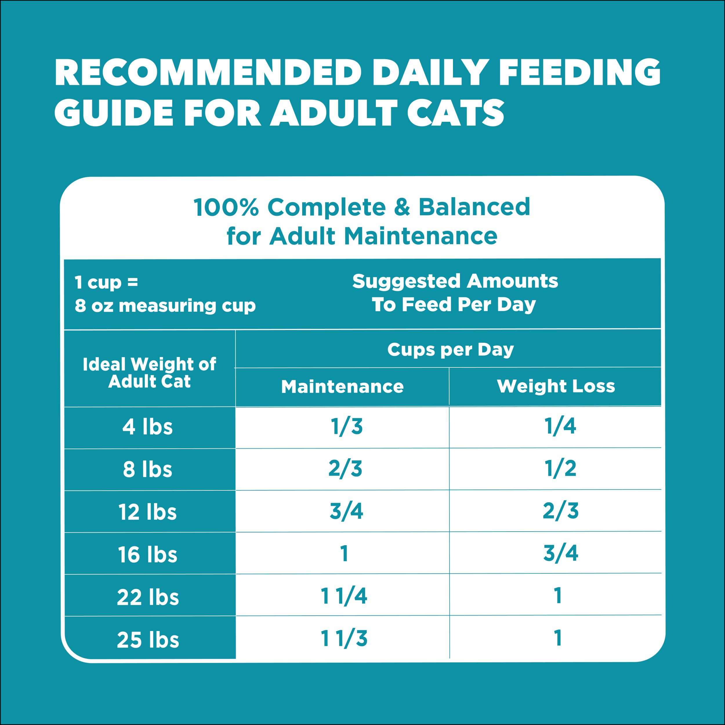 Pour chats actifs d’intérieur, IAMS aide à rester joueur et en forme.