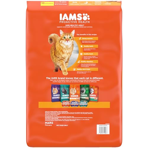Bol de croquettes IAMS Proactive Health pour chat adulte intérieur.