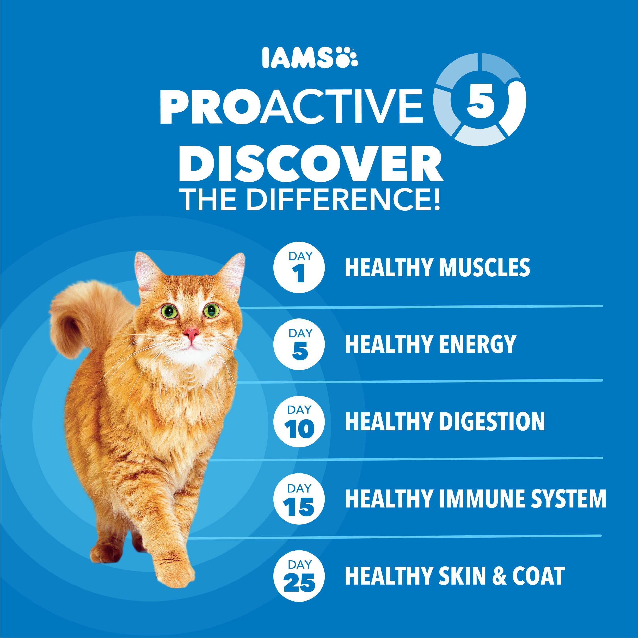 IAMS Proactive Health Chat—énergie durable grâce à des grains sains.