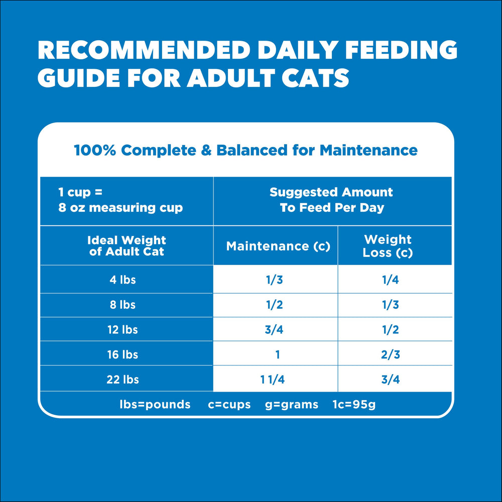 IAMS Proactive Health Chat—guide d’alimentation quotidien pour chat heureux.