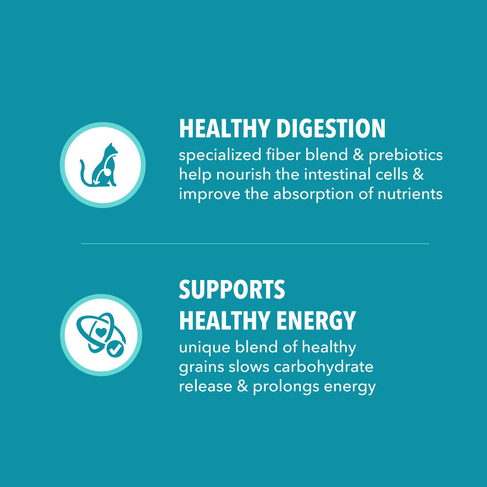 IAMS Proactive Health chat intérieur – L-carnitine, soutien potentiel au métabolisme.