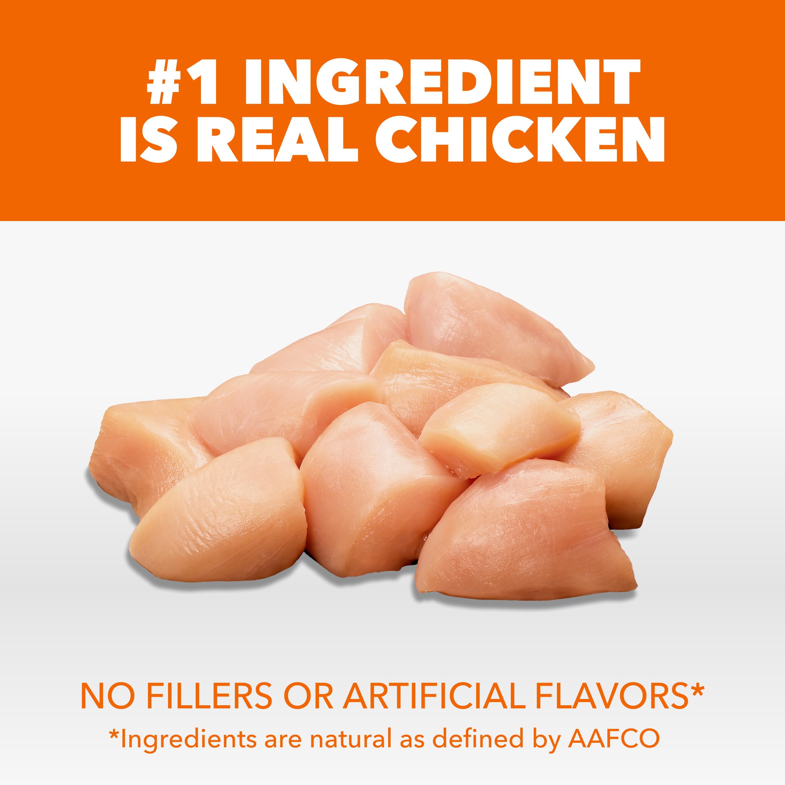 IAMS Proactive Health chat: poulet comme ingrédient principal, soutien musculaire.