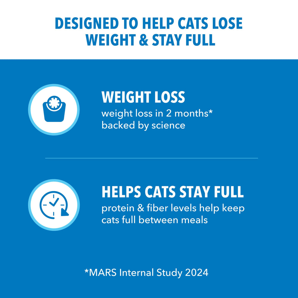 IAMS Proactive Health Chat—protéines et fibres pour satiété durable.
