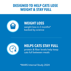 IAMS Proactive Health Chat—protéines et fibres pour satiété durable.