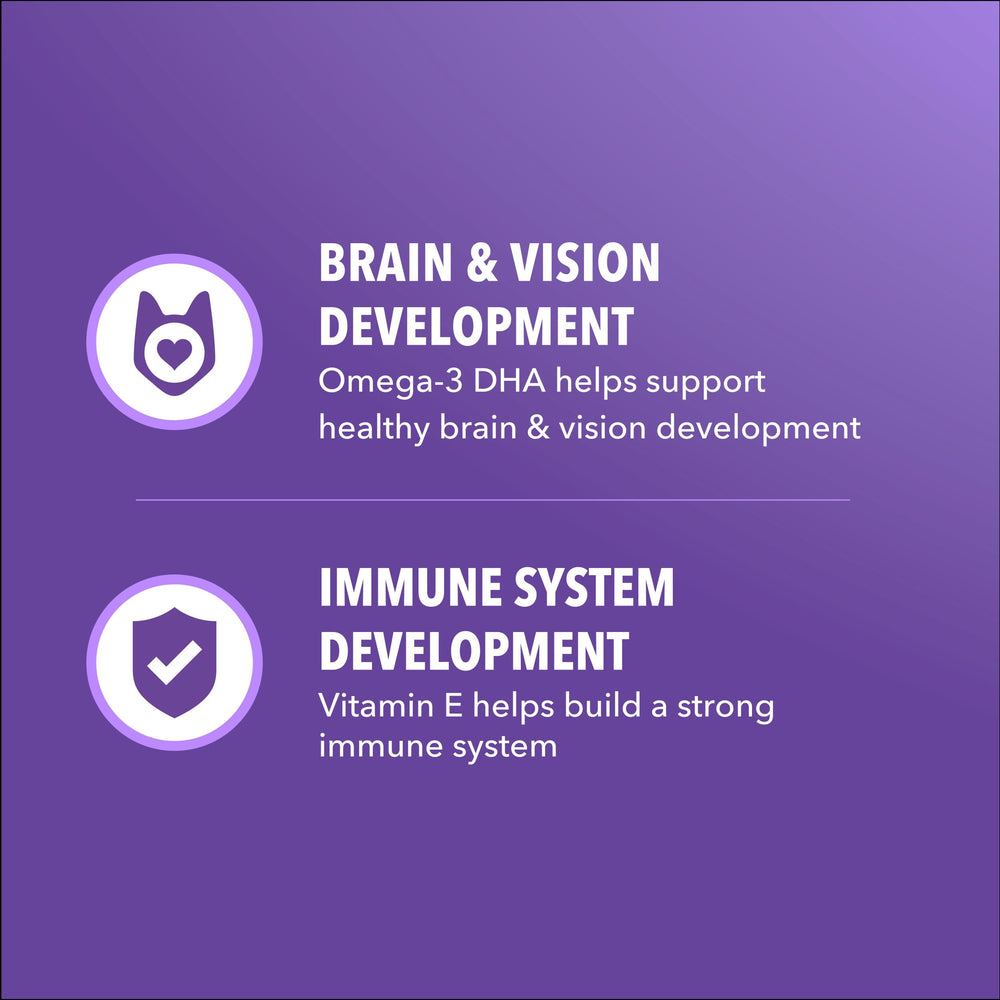 IAMS Proactive Health chaton fibres et prébiotiques soutiennent digestion et absorption des nutriments