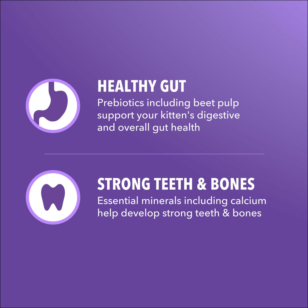 IAMS Proactive Health Chaton immunité vitamine E, soutien du système immunitaire.