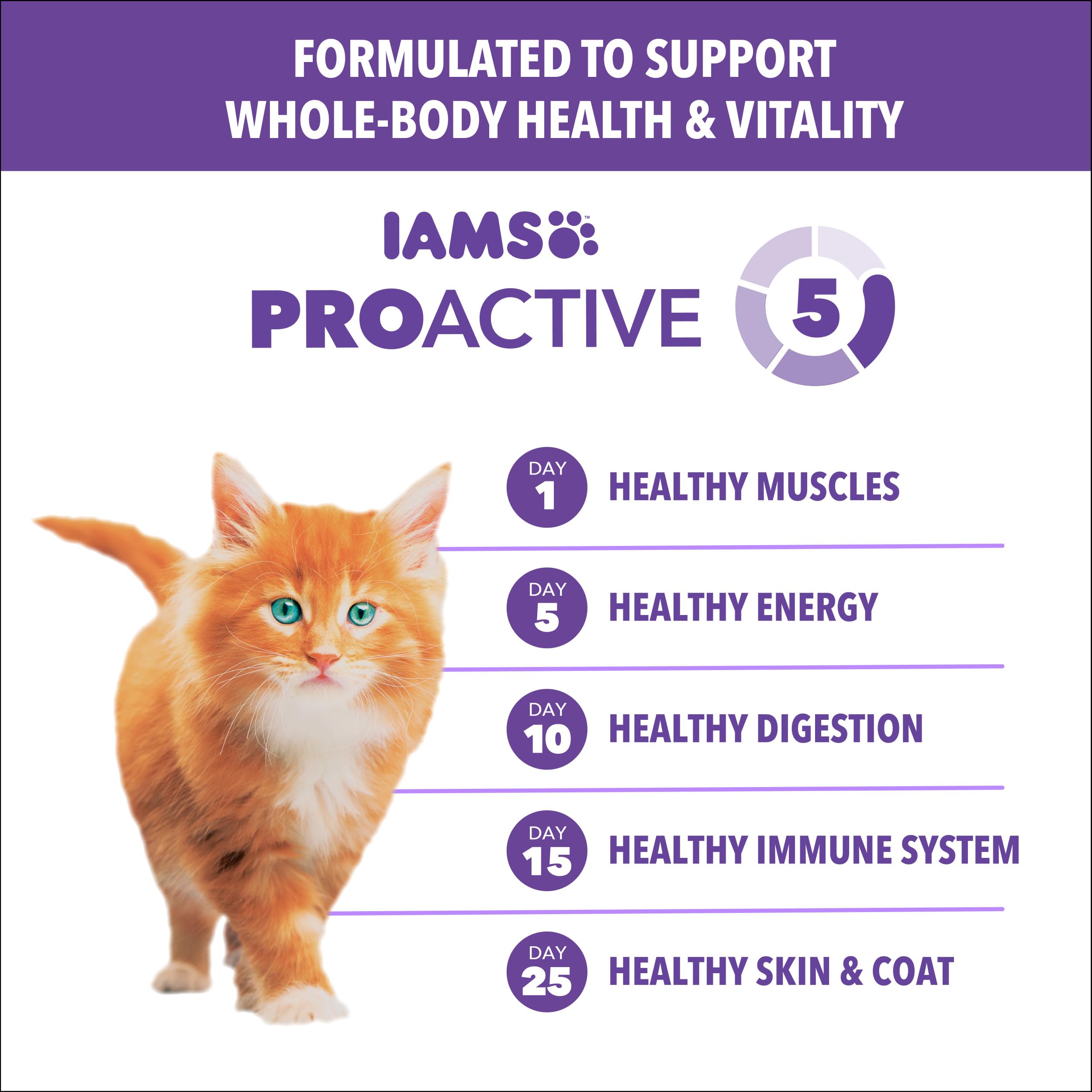 IAMS Proactive Health Chaton calcium, os solides grâce au calcium.