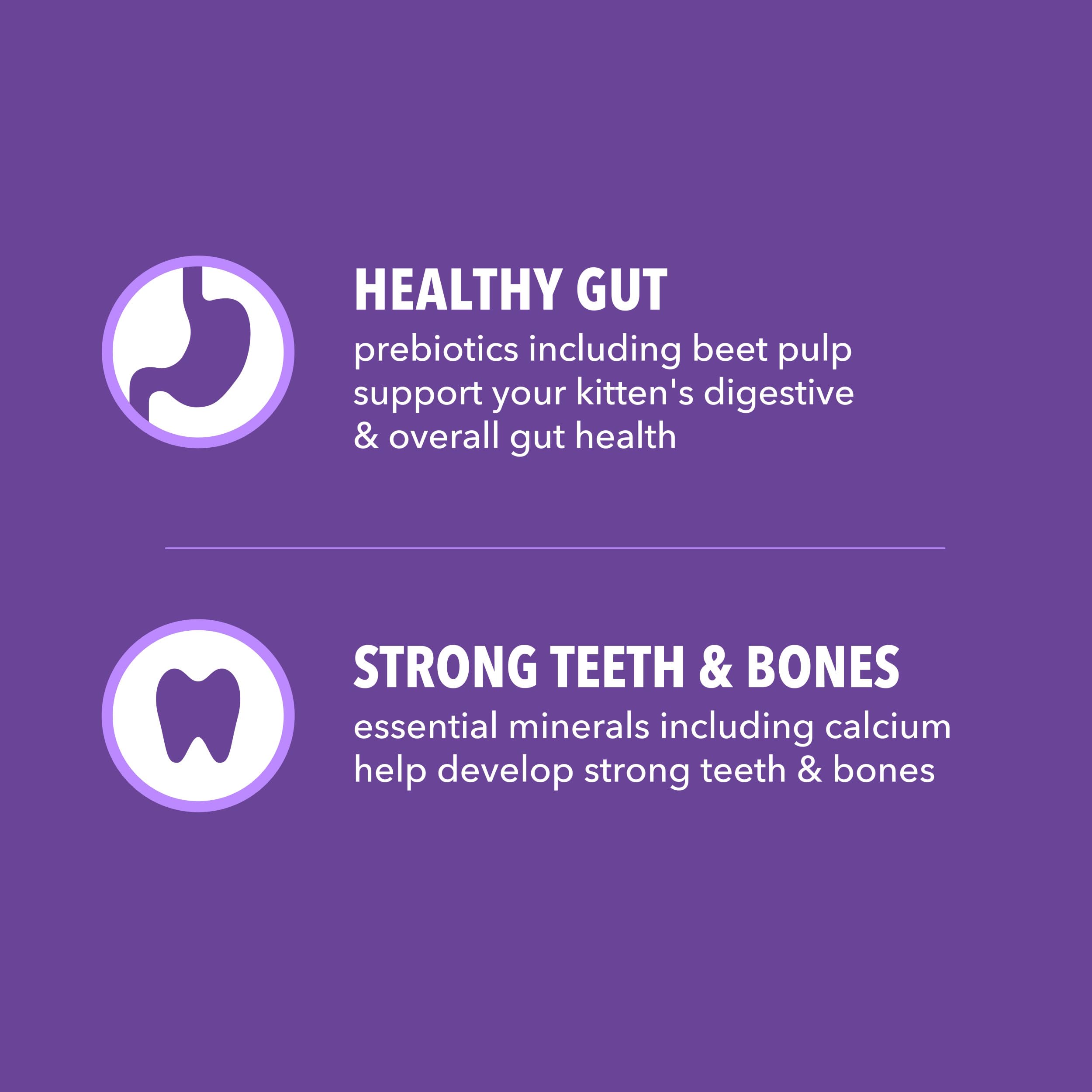 IAMS Proactive Health Chaton fibres naturelles et prébiotiques pour digestion