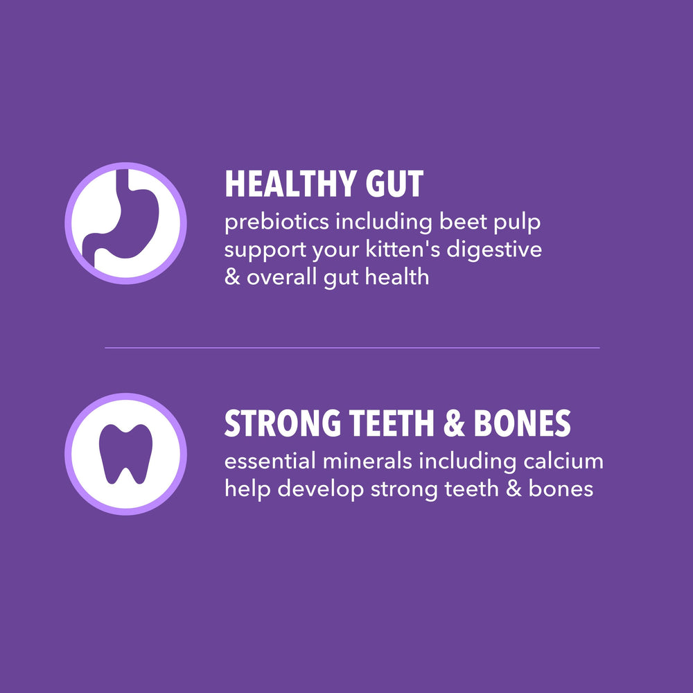 IAMS Proactive Health Chaton fibres naturelles et prébiotiques pour digestion