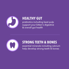 IAMS Proactive Health Chaton fibres naturelles et prébiotiques pour digestion