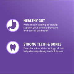 IAMS Proactive Health pulpe de betterave et fibres soutiennent digestion