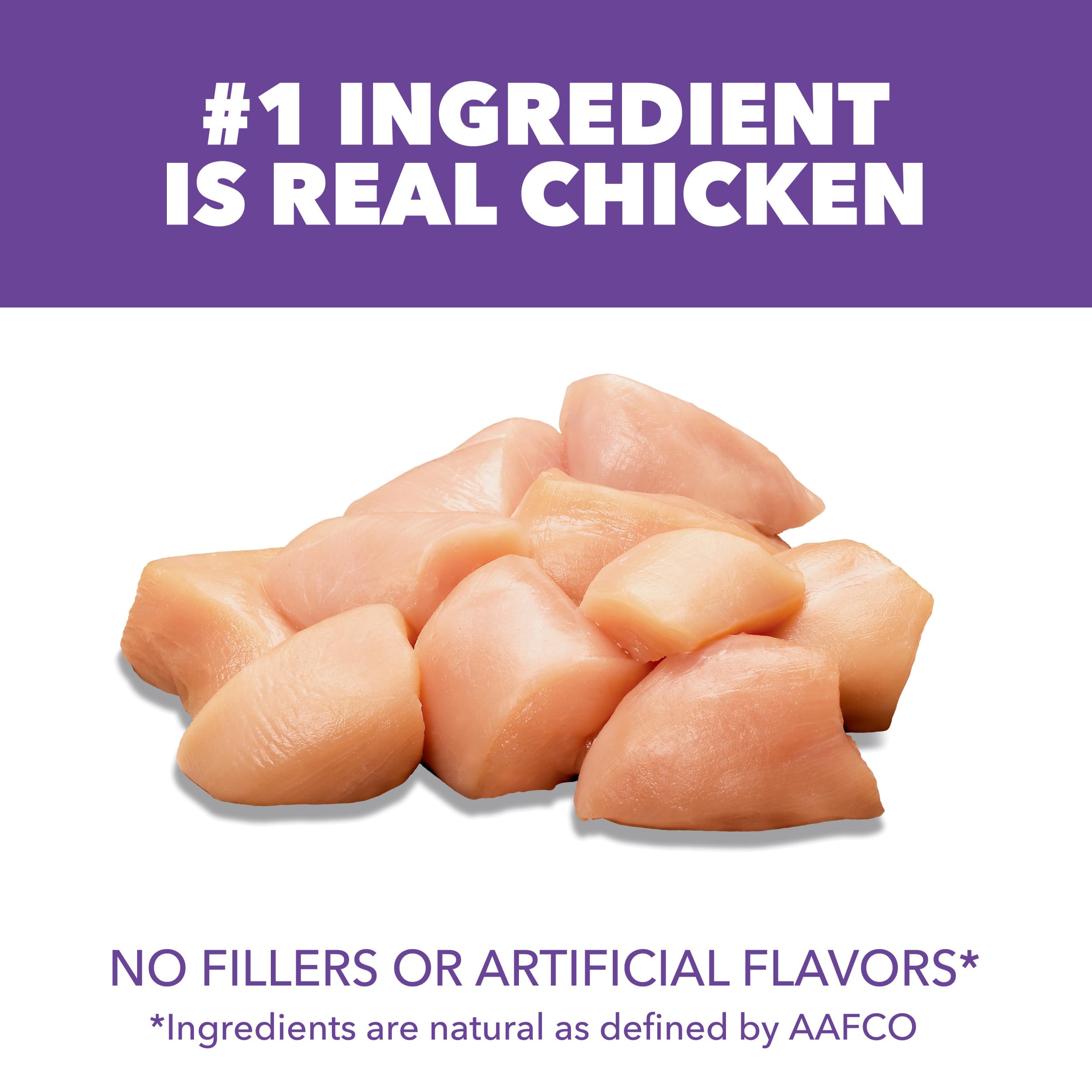 IAMS Proactive Health chaton sec – premier ingrédient poulet, soutien protéines pour un corps actif.