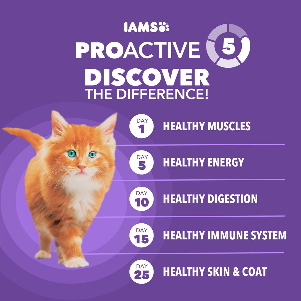 IAMS Proactive Health chaton sec: sans additifs artificiels et ingrédients naturels.