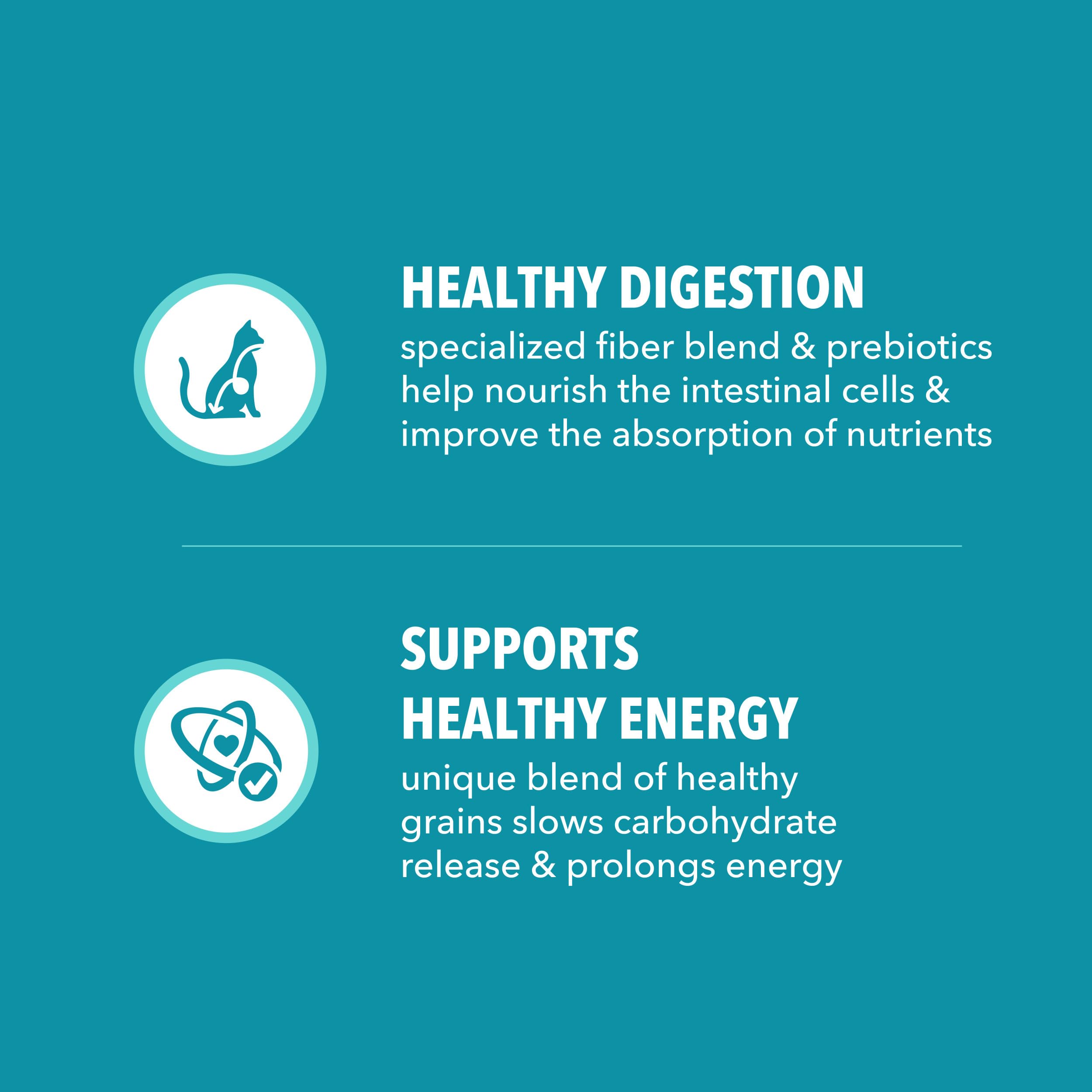 IAMS Proactive Health – goût appétissant – repas quotidien pour chats adultes.