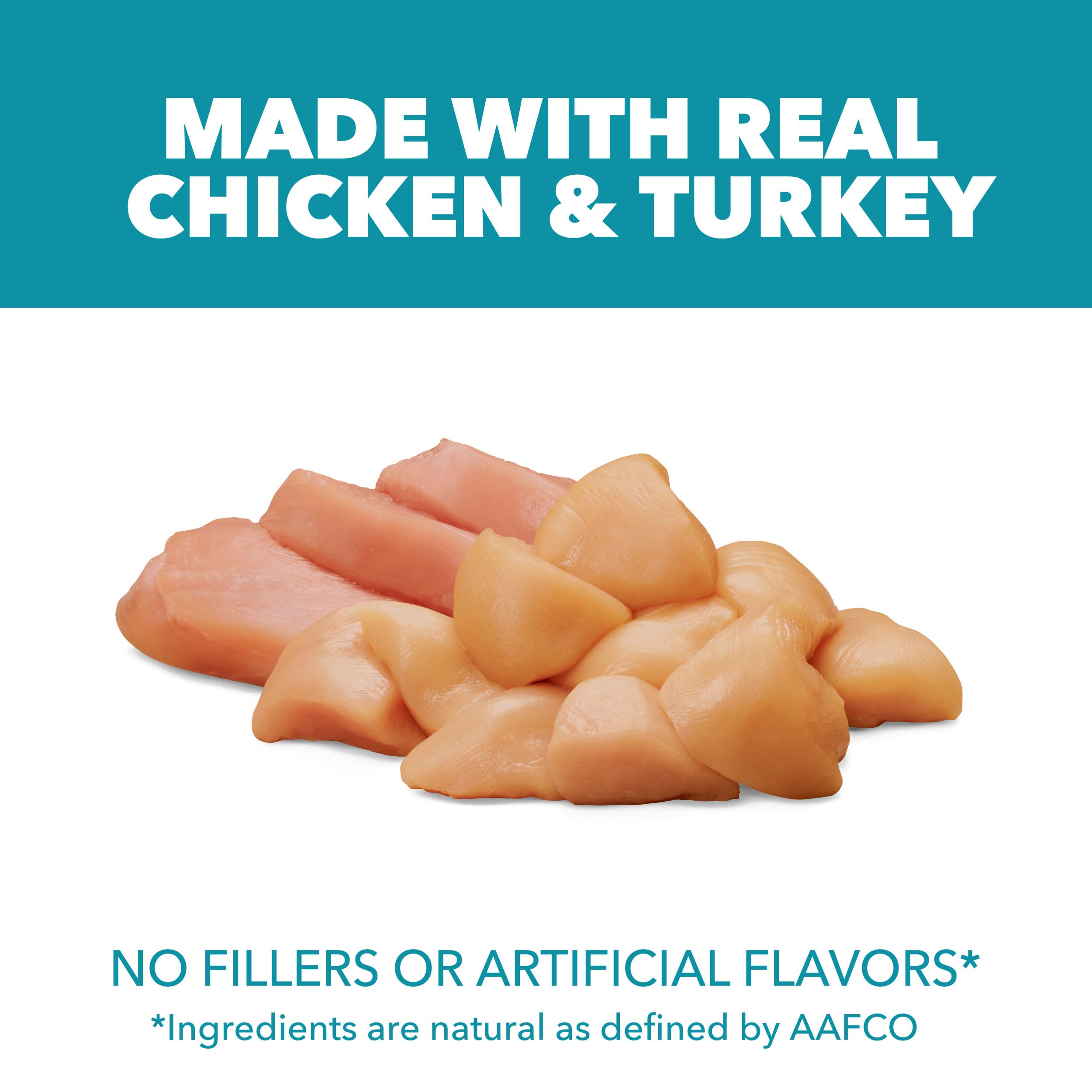IAMS Proactive Health – croquettes au poulet réel – apport protéique de qualité.