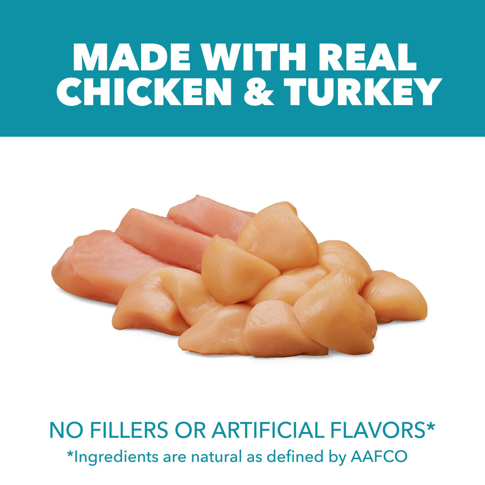 IAMS Proactive Health – croquettes au poulet réel – apport protéique de qualité.