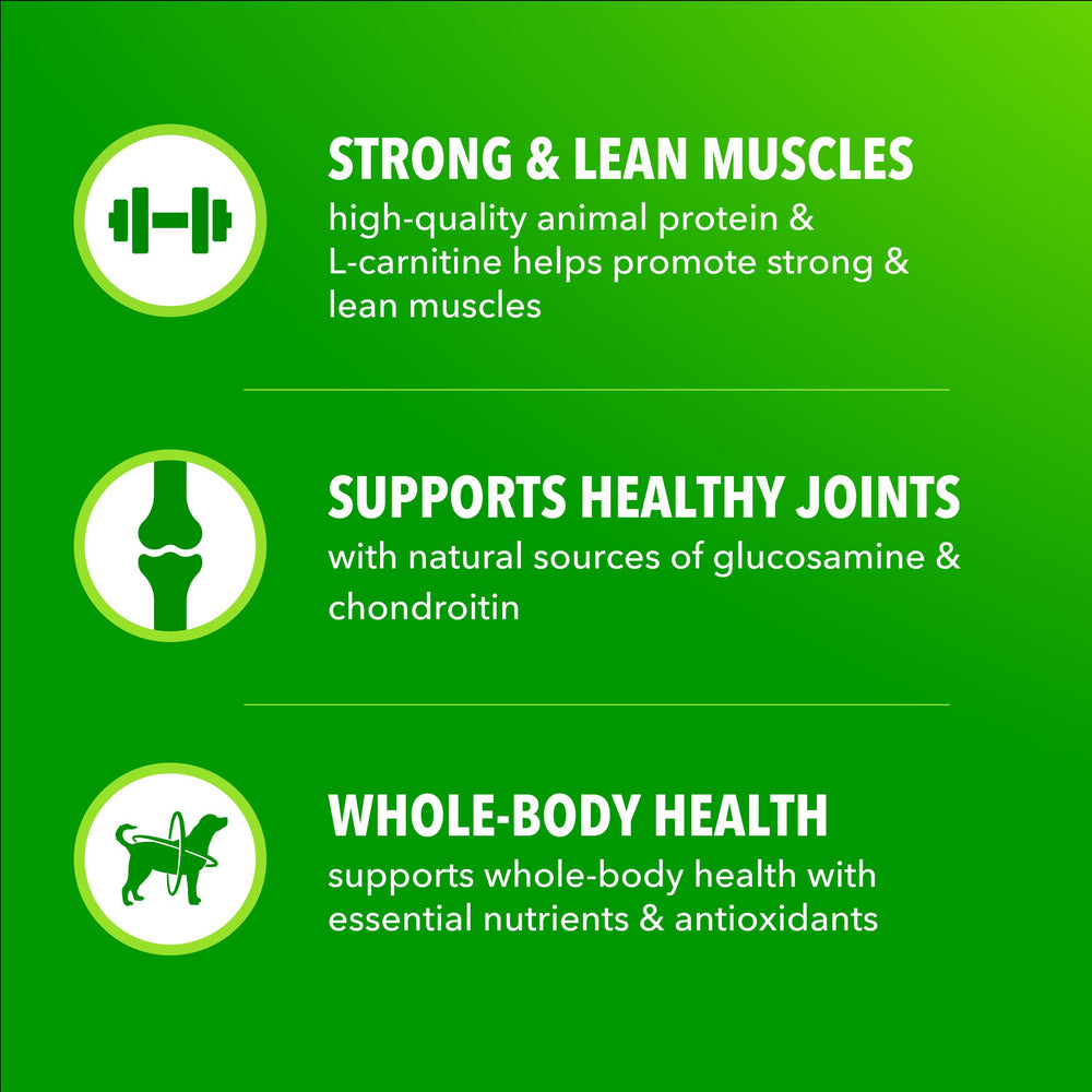 IAMS Proactive Health formule complète pour chien adulte, équilibre nutritionnel.