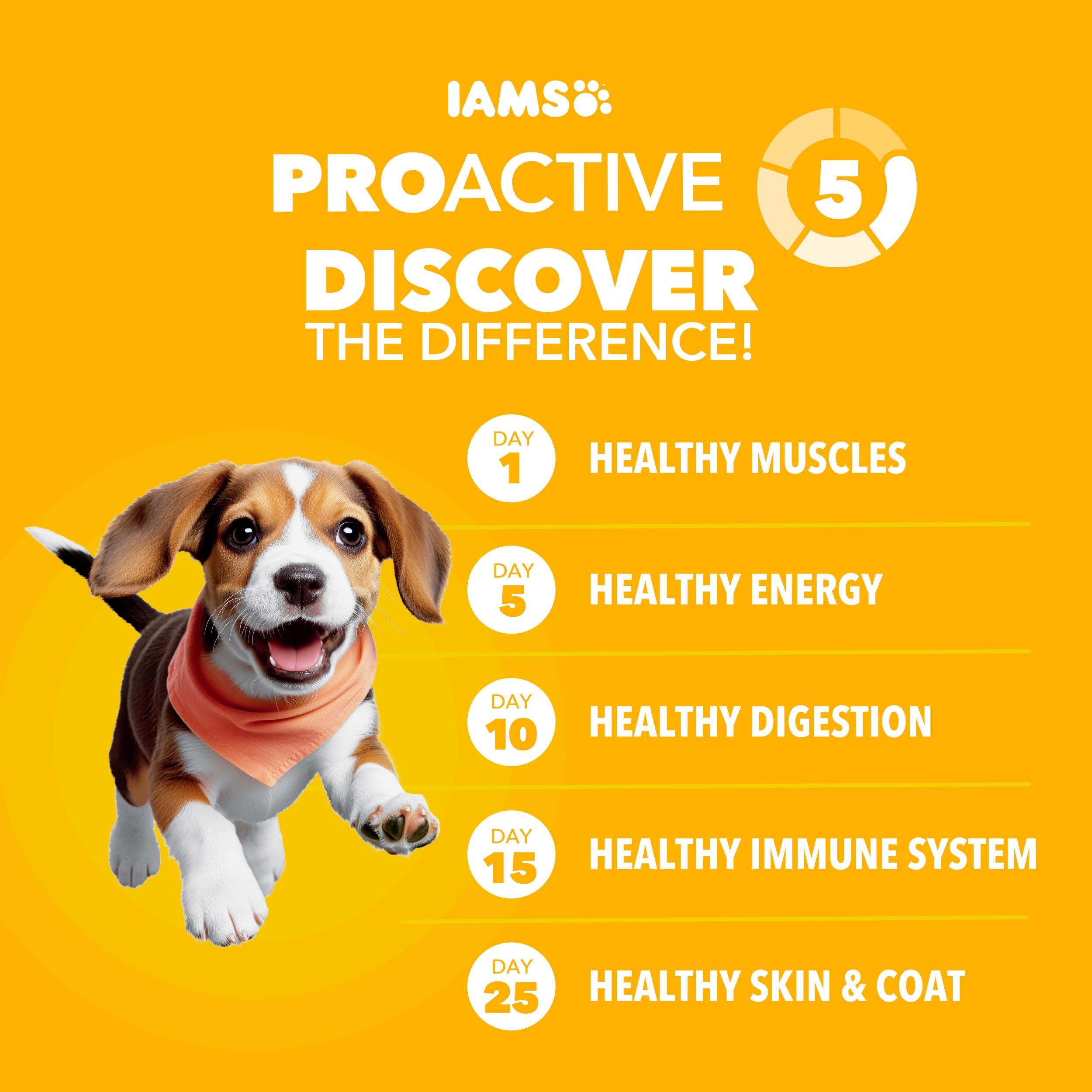 IAMS Proactive Health croquettes oméga-3 DHA pour cognition