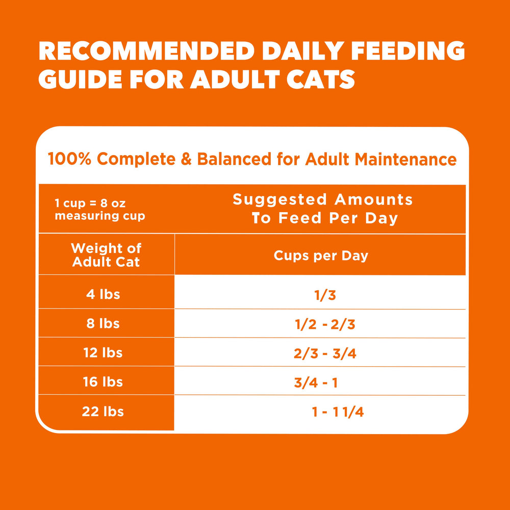 IAMS Proactive Health emballage et présentation pratique pour un repas quotidien.