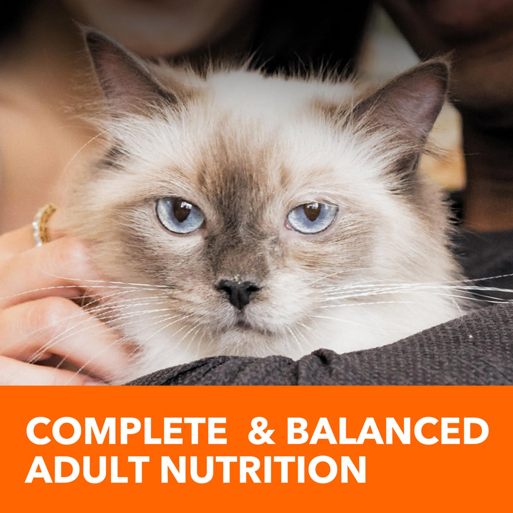 Sac 3,18 kg d’IAMS Proactive Health pratique pour les repas quotidiens.