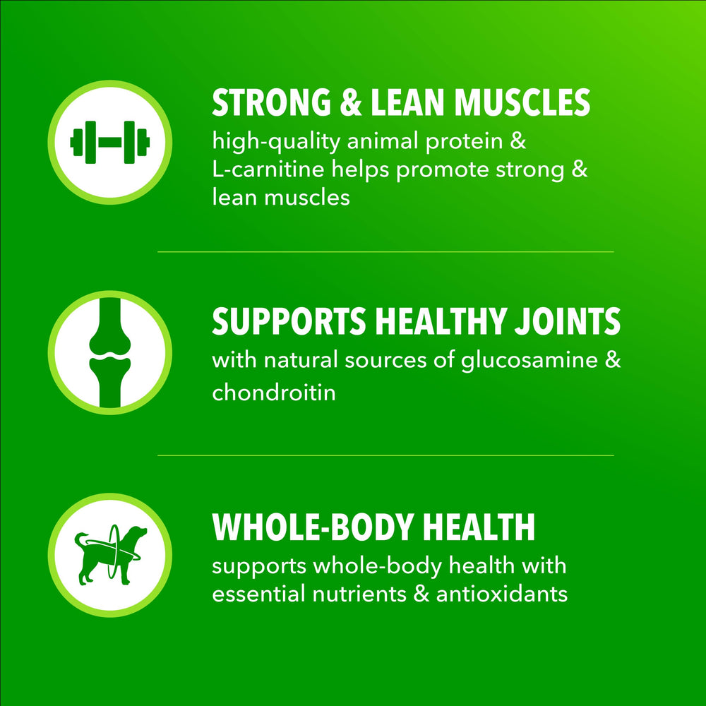 Énergie saine grâce aux grains complets de IAMS Proactive Health