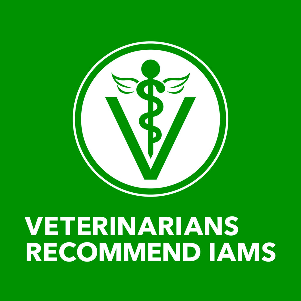 Entretien adulte avec IAMS Proactive Health, alimentation complète.