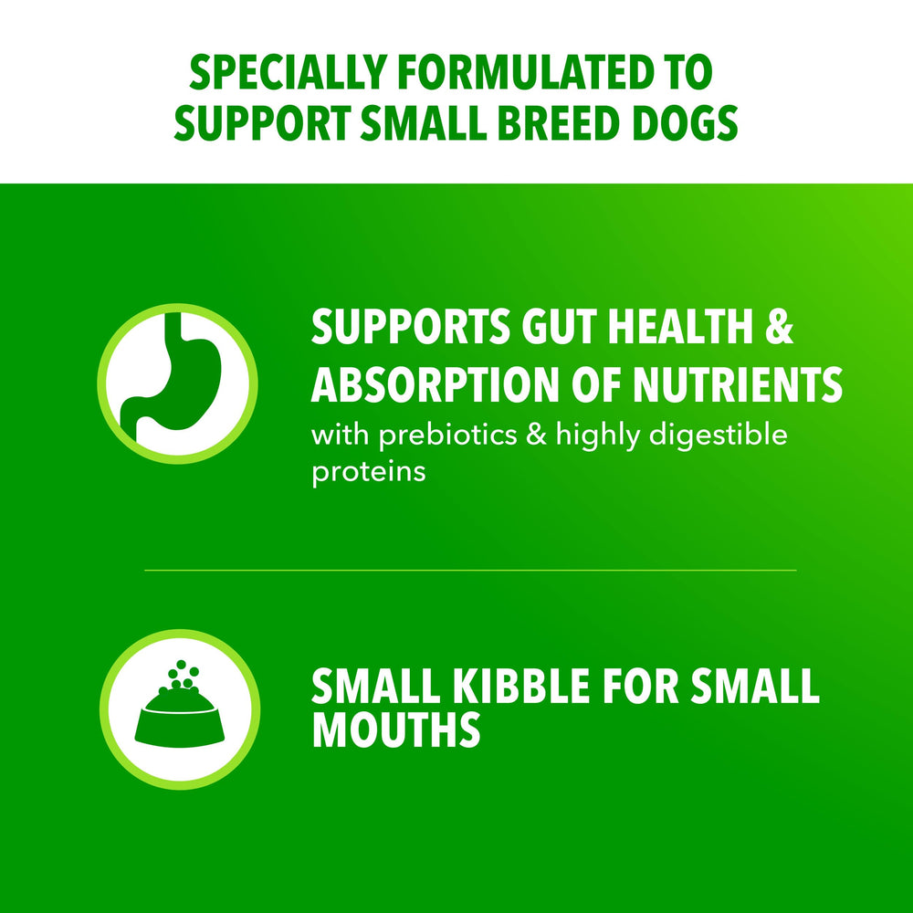 IAMS Proactive Health fibres et prébiotiques, soutien digestion équilibrée.
