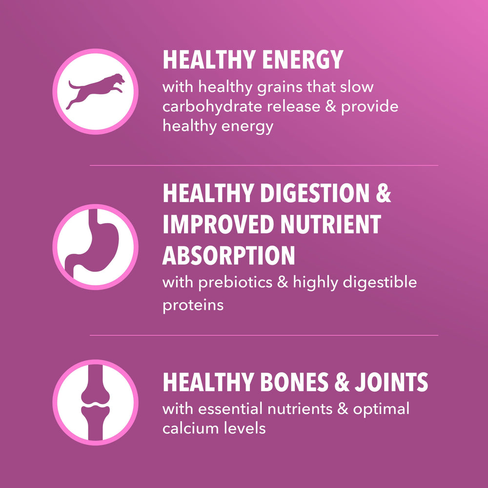 Grains sains et énergie durable dans la formule IAMS Proactive Health pour grands chiens.