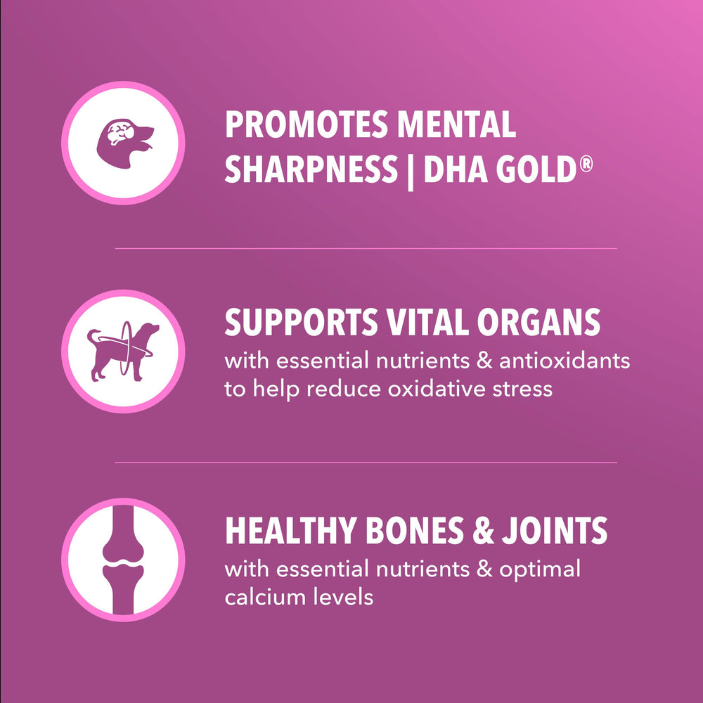 IAMS Proactive Health Healthy Aging antioxydants: vitamine E et bêta-carotène.