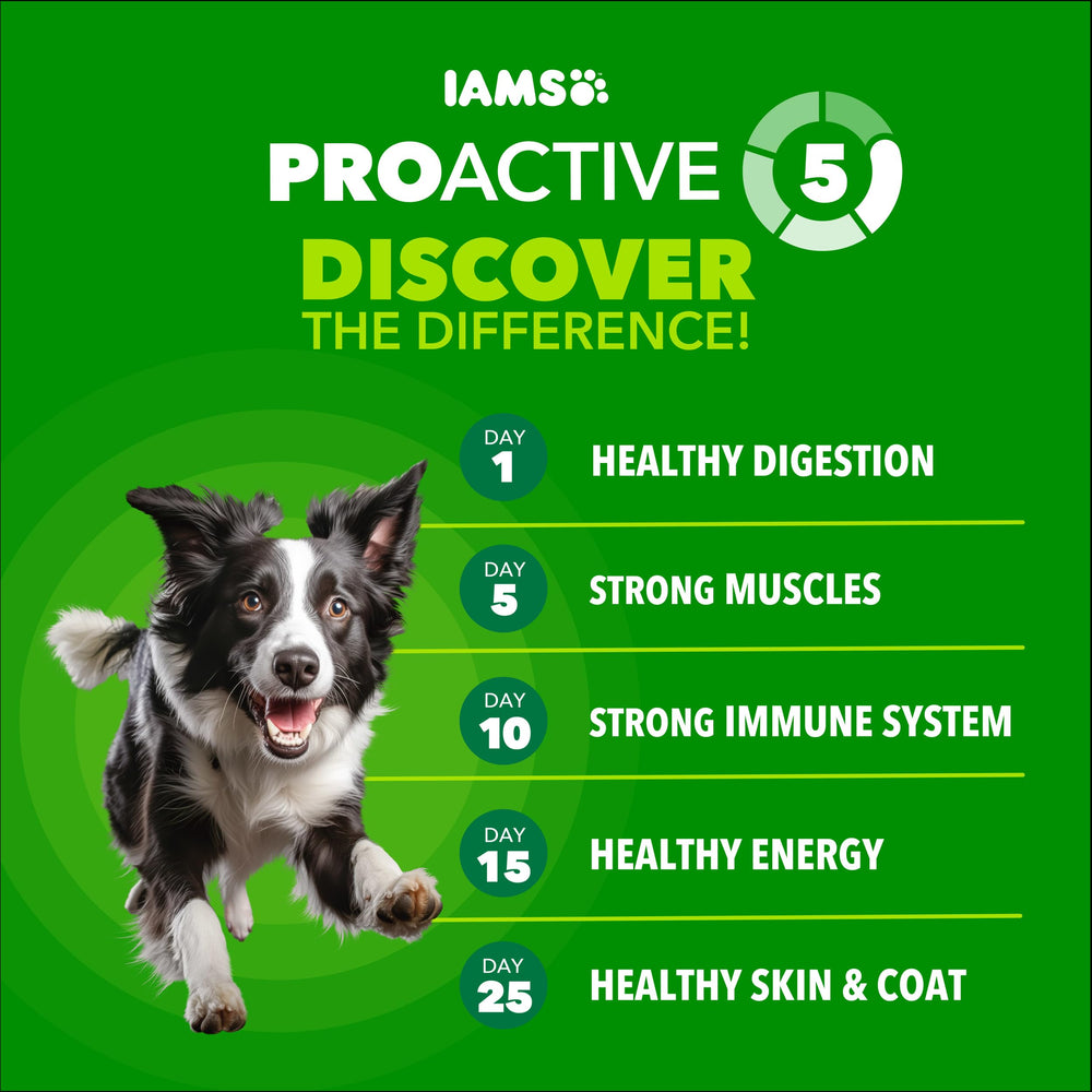 Ingrédients naturels conformes à l’AAFCO dans IAMS Proactive Health