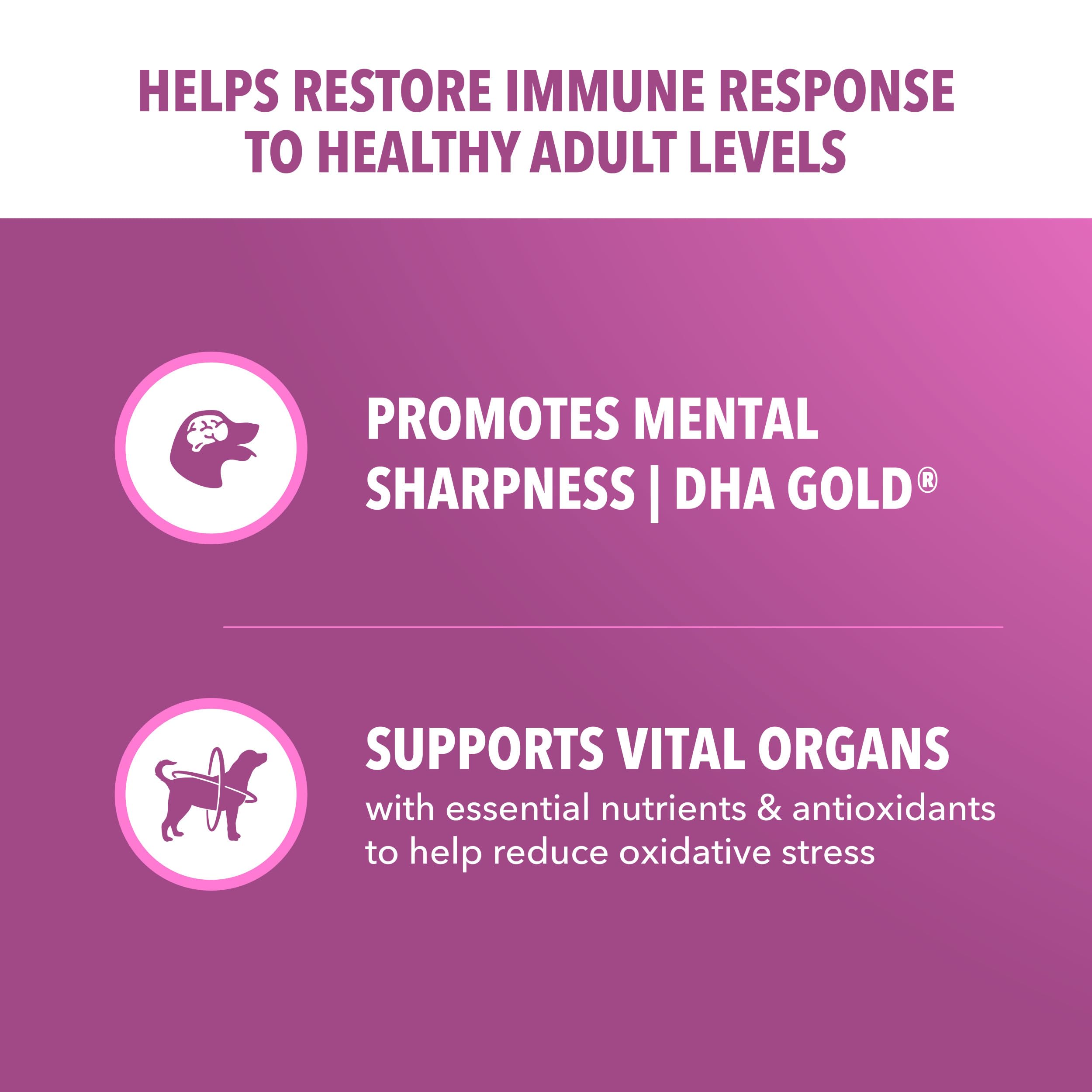 Croquettes croustillantes IAMS Proactive Health pour dents saines et haleine plus fraîche.