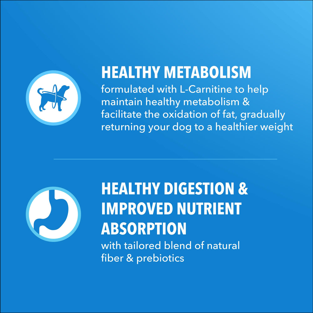 L-Carnitine dans IAMS Proactive Health soutient le métabolisme.
