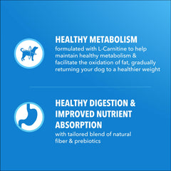 L-Carnitine dans IAMS Proactive Health soutient le métabolisme.