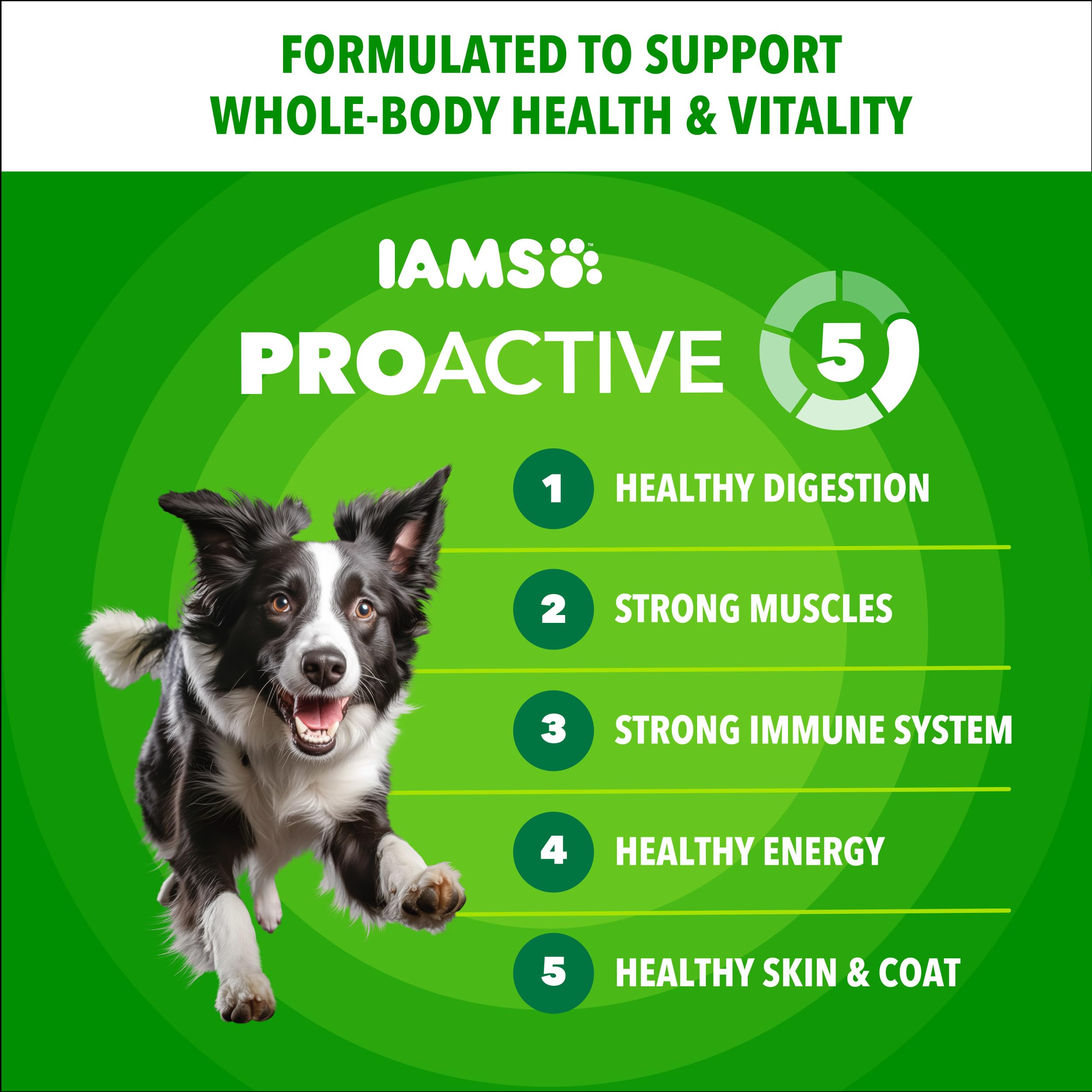 IAMS Proactive Health Minichunks, bol chien, soutien digestion grâce fibres et prébiotiques