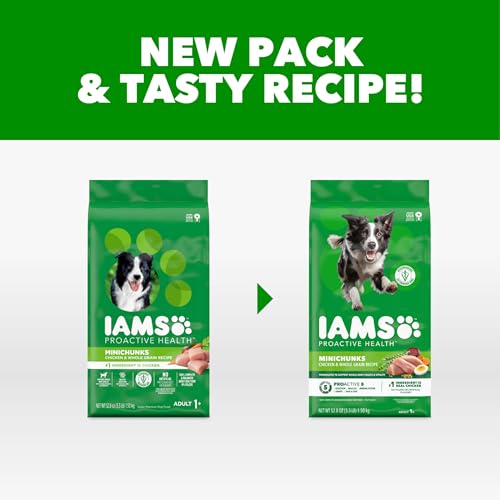 IAMS Proactive Health Minichunks: petites bouchées, texture appétente pour chien.