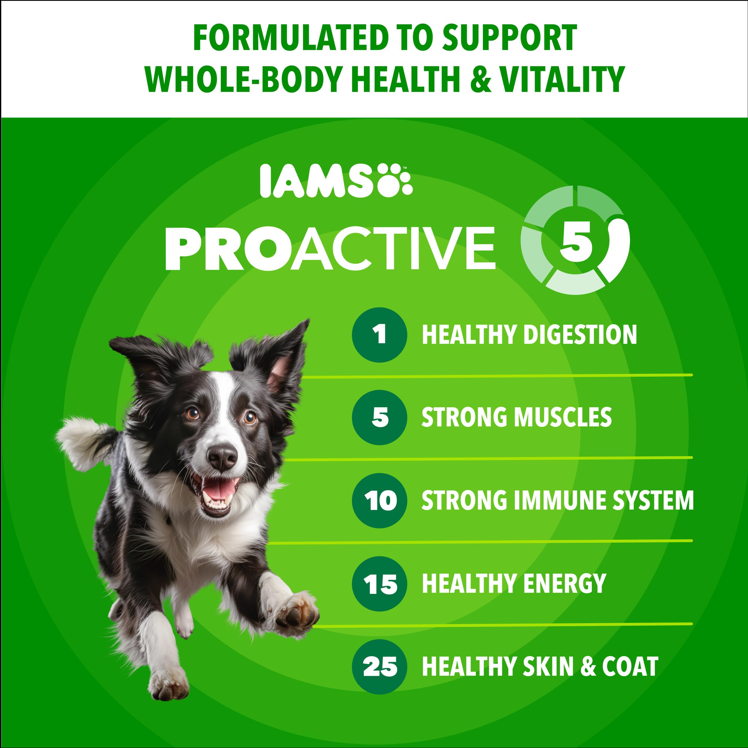IAMS Proactive Health Minichunks, poulet comme ingrédient principal visible.