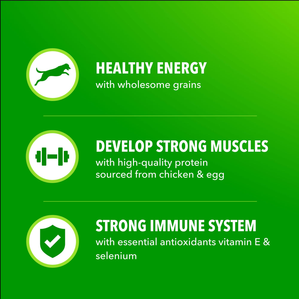 IAMS Proactive Health Minichunks: soutien digestif grâce aux fibres naturelles.