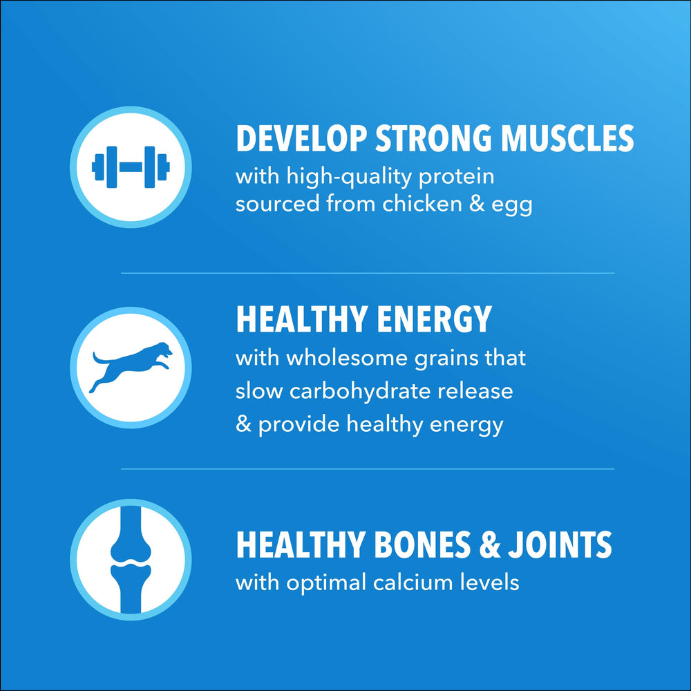 Poulet de haute qualité pour muscles forts avec IAMS Proactive Health.