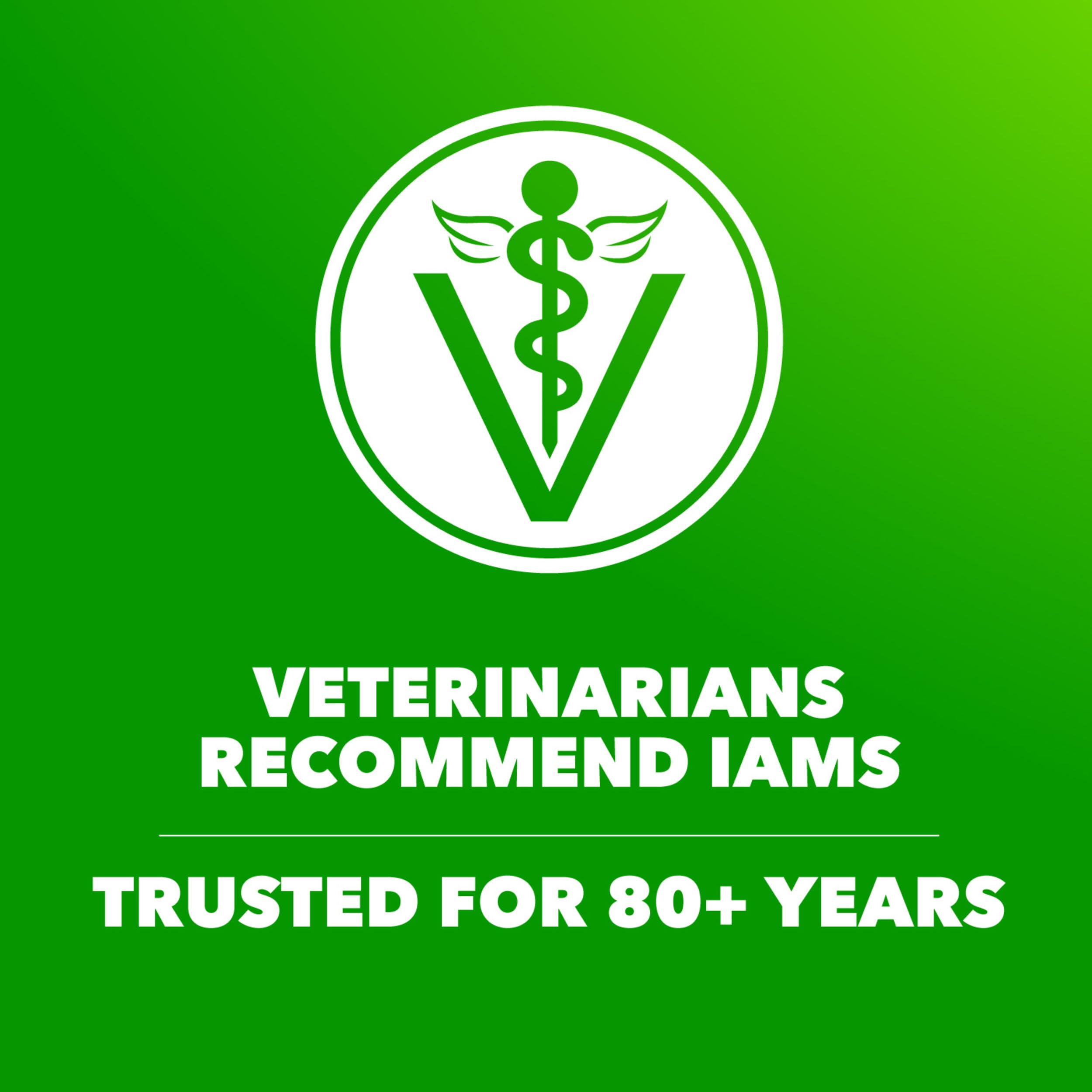 IAMS Proactive Health, sans conservateurs artificiels, ingrédients naturels