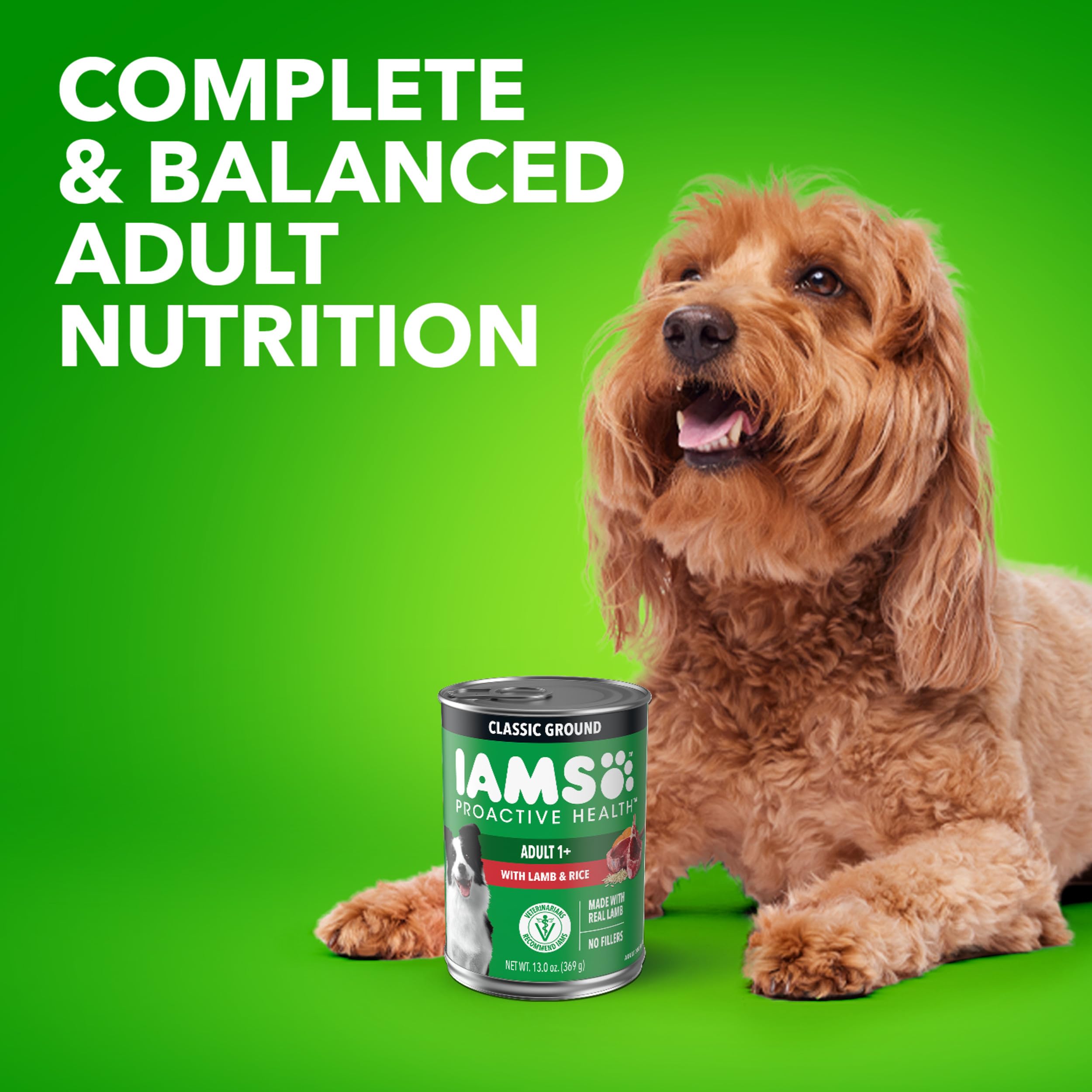 Pâté d’agneau et riz IAMS Proactive Health, alimentation quotidienne