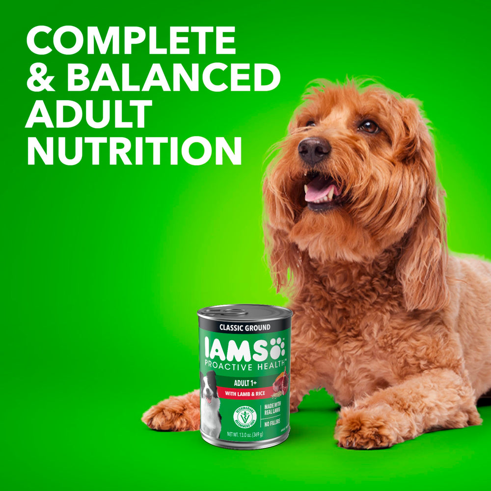 Pâté d’agneau et riz IAMS Proactive Health, alimentation quotidienne