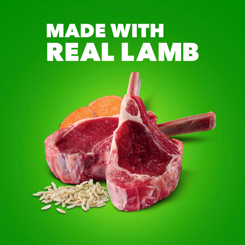 Boîte de pâté d’agneau et riz IAMS Proactive Health, repas équilibré